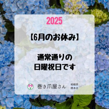 2025年6月のお休み