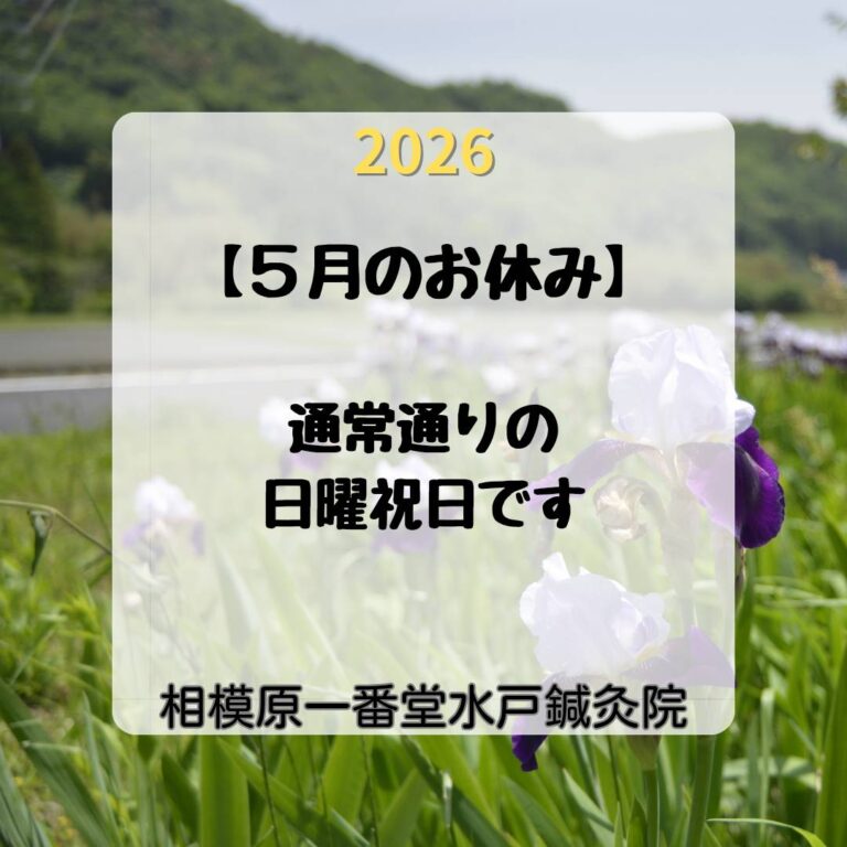 2026年5月のお休み画像