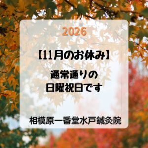 2026年11月のお休み画像