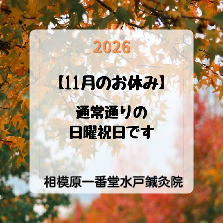 2026年11月のお休み画像